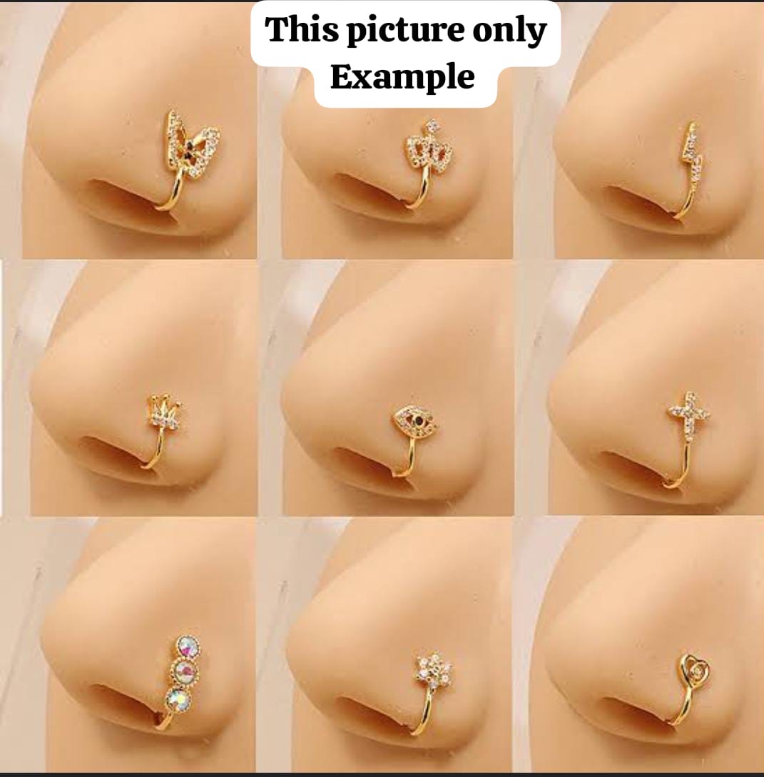 *Goldplated Nose Pins*