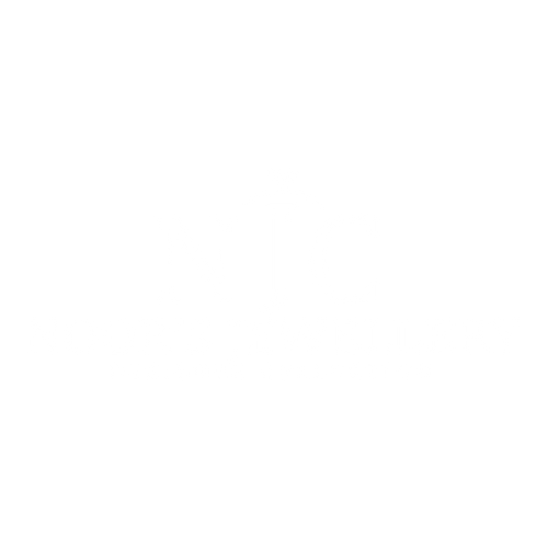 noors jewellery designed by noor afshan ahmad logo